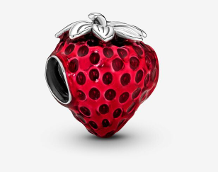 MODELOS DE CHARMS PANDORA