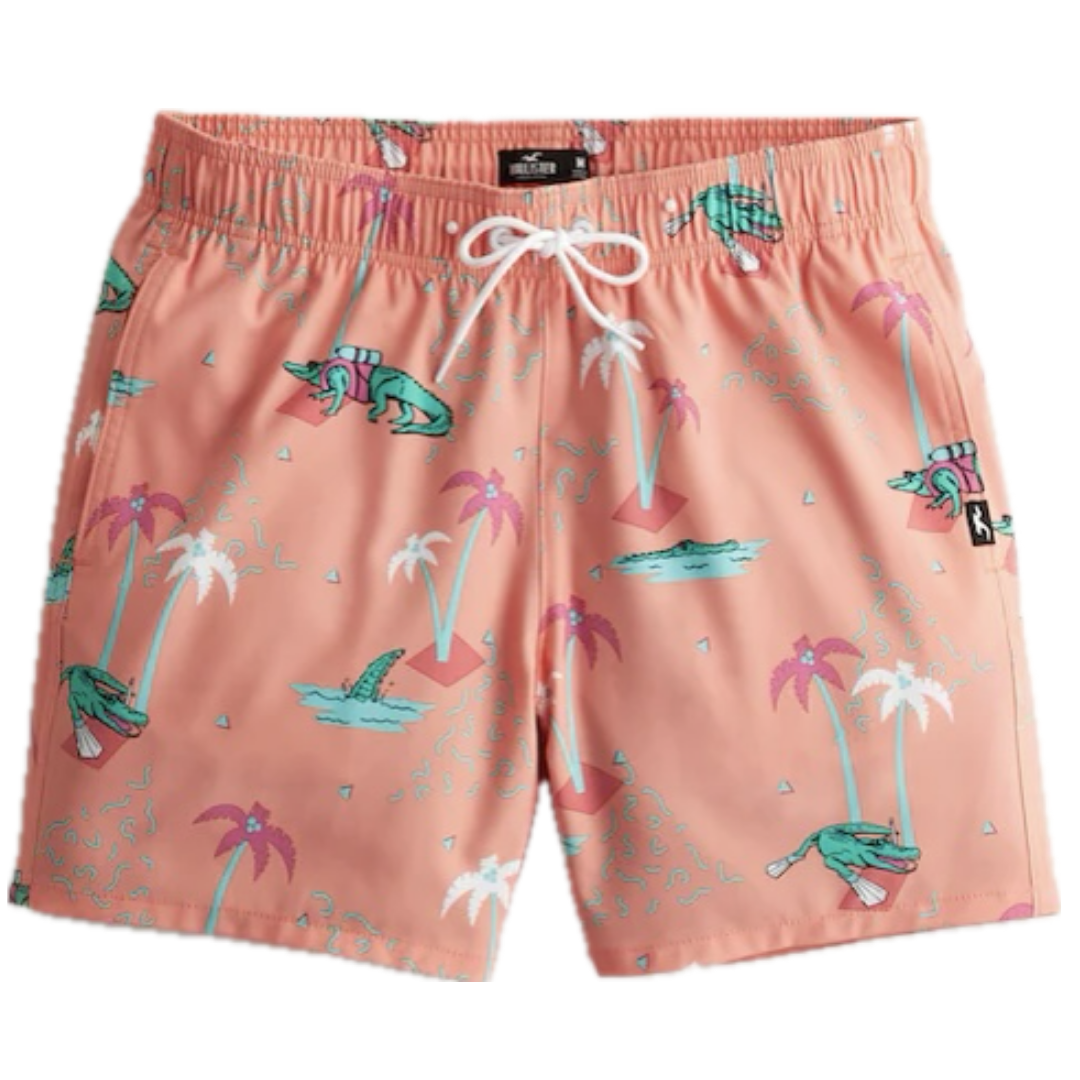 Hollister Short Playeros Caballero