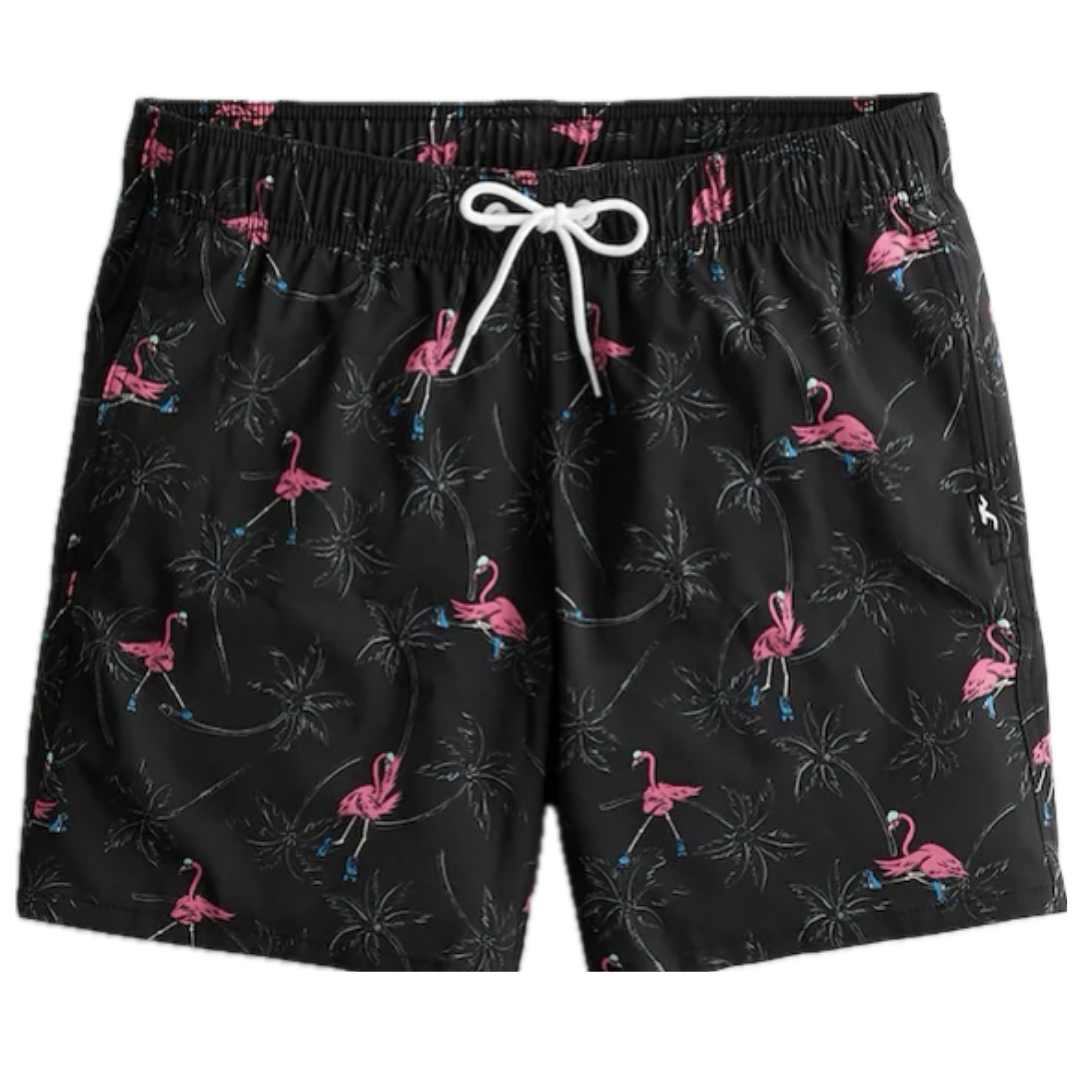 Hollister Short Playeros Caballero